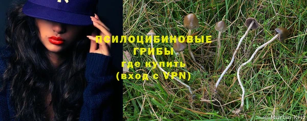 гашик Арсеньев