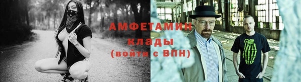 ГАЛЛЮЦИНОГЕННЫЕ ГРИБЫ Аркадак