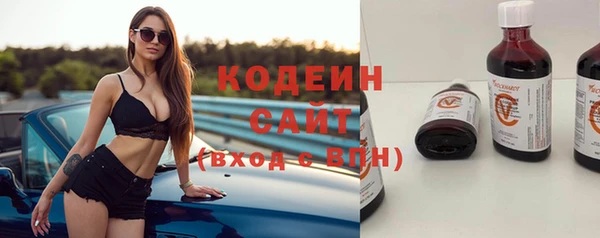 ГАЛЛЮЦИНОГЕННЫЕ ГРИБЫ Аркадак
