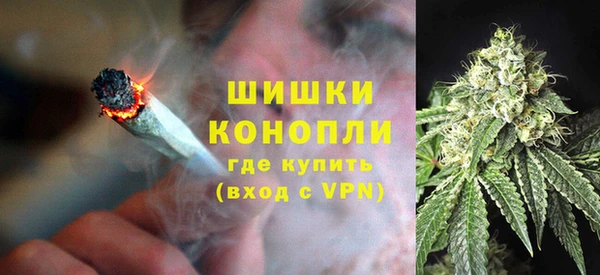 гашик Арсеньев