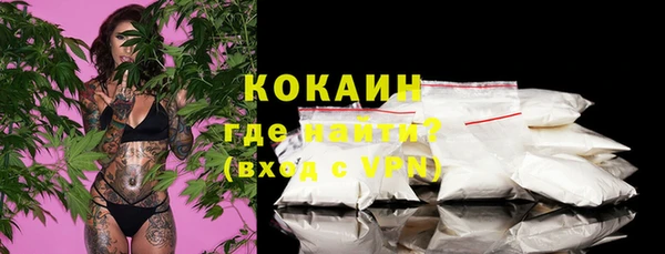 гашик Арсеньев