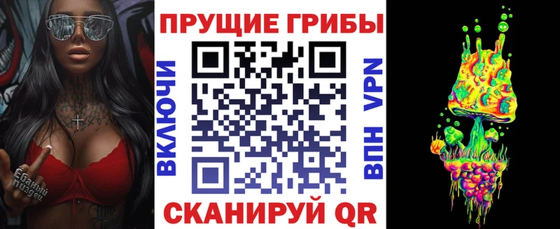 что такое наркотик  Шуя  Псилоцибиновые грибы ЛСД 